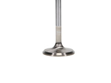 Load image into Gallery viewer, Manley Ford 4.6L 34mm Diameter 117.35mm Length Race Master Exhaust Valves (Set of 8) - GTR Auto