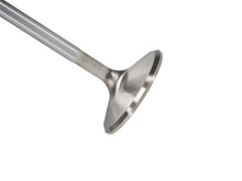Load image into Gallery viewer, Manley Nissan 3.5L V6 (VQ35DE VQ35DET) DOHC 24 Intake 37mm Stainless Race Master Valves - GTR Auto