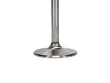 Load image into Gallery viewer, Manley Ford 429intake Valve Kit - 2.300in Head Dia. 5.725in O/A Length, 0.3415in Stem