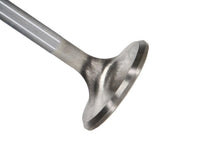 Load image into Gallery viewer, Manley Ford 289 Exhaust Valve Kit - 1.465in Head Dia. 5.080in O/A Length, 0.3415in Stem