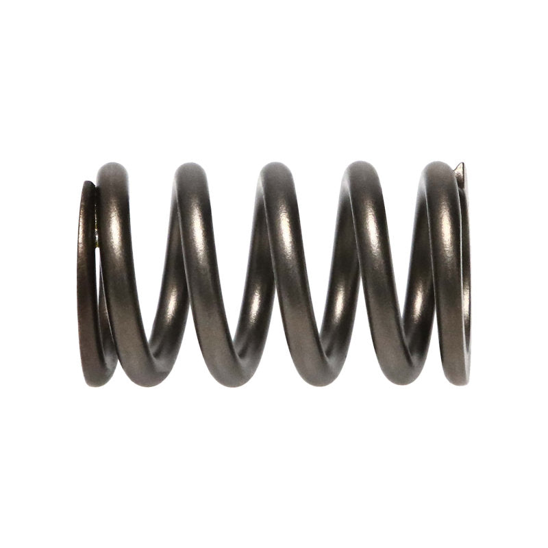 Manley Dodge SRT-4 16pc Valve Springs - GTR Auto