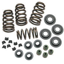 Load image into Gallery viewer, S&amp;S Cycle 04-19 XL Valve Spring Kit - .650in