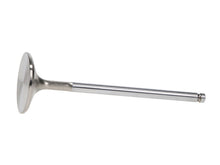Load image into Gallery viewer, Manley 92-00 Acura Integra / 99-00 Honda Civic 16 Valve 33.0mm Race Flo F/F Intake Valves (Set of 8) - GTR Auto