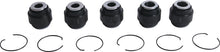 Load image into Gallery viewer, All Balls Racing Rear Ind. Suspension Kit 50-1248