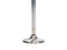 Load image into Gallery viewer, Manley Ford 4.6L DOHC (4 Valve) Triple Groove 37mm Race Master Intake Valves - GTR Auto