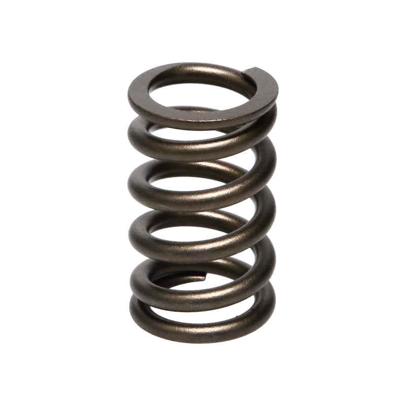 Manley Nissan (RB26DET) 24pc Valve Springs - GTR Auto
