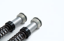 Load image into Gallery viewer, Ohlins 07-16 Harley Sportster XL NIX 22 Cust/Heritage Cartridge Kit (Incl. Springs 08428-80 / 90) FKS 206