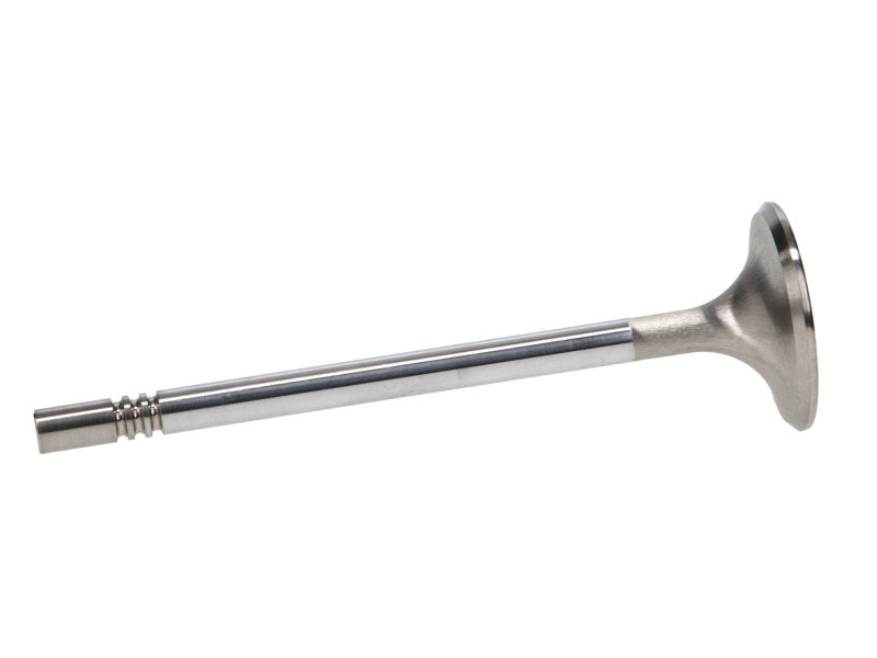 Manley Ford Racing Cylinder Head 4.6L & 5.4L SOHC 36.0mm Race Master Exhaust Valves *Set of 8* - GTR Auto