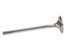 Load image into Gallery viewer, Manley Ford Racing Cylinder Head 4.6L &amp; 5.4L SOHC 36.0mm Race Master Exhaust Valves *Set of 8* - GTR Auto