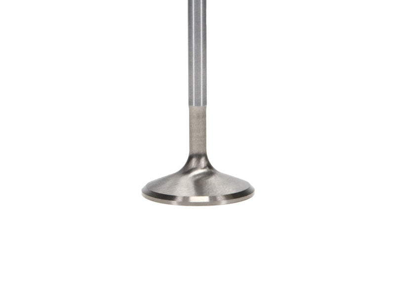 Manley 92-00 Acura Integra / 99-00 Honda Civic 16 Valve 33.0mm Race Flo F/F Intake Valve (SINGLE) - GTR Auto
