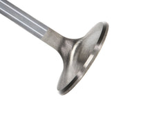 Load image into Gallery viewer, Manley Big Block Chevrolet 1.900 Diameter Stock Length Extreme Duty Exhaust Valve (Single Valve) - GTR Auto