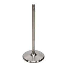 Load image into Gallery viewer, Manley Titanium intake Valve Kit - Big Block Chevrolet - M&amp;M X20