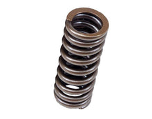 Load image into Gallery viewer, BLOX Racing Valve Springs for D-series SOHC VTEC D16Z-Y (1.6L SOHC VTEC) - GTR Auto