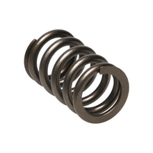Load image into Gallery viewer, Manley Dodge SRT-4 16pc Valve Springs - GTR Auto