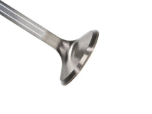 Load image into Gallery viewer, Manley Chrysler Hemi 6.1L w/ Triple Groove 1.595in Race Flo Exhaust Valves (Set of 8) - GTR Auto