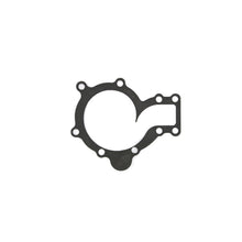 Load image into Gallery viewer, Photo - Primary