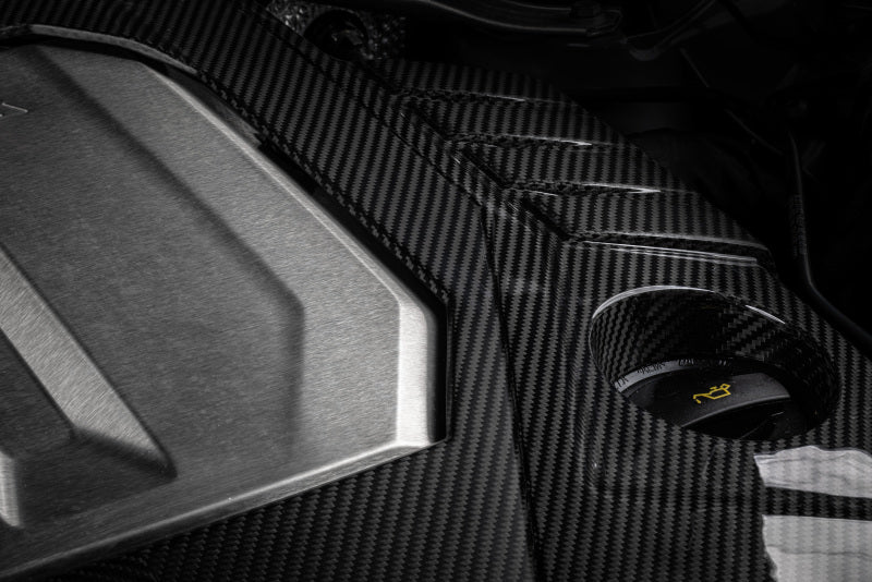 APR 21-26 Audi RS6 Avant/RS7 Sportback EA825 (C8) 4.0T Carbon Fiber Engine Cover MS100253