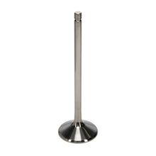 Load image into Gallery viewer, Manley Titanium Exhaust Valve Kit - Big Block Chevrolet - M&amp;M X20