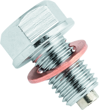 Load image into Gallery viewer, BikeMaster Magnetic Oil Drain Plug 10x1.25mm - Stainless - GTR Auto