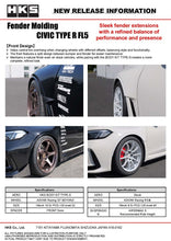 Load image into Gallery viewer, HKS Fender Molding FL5 53004-AH005