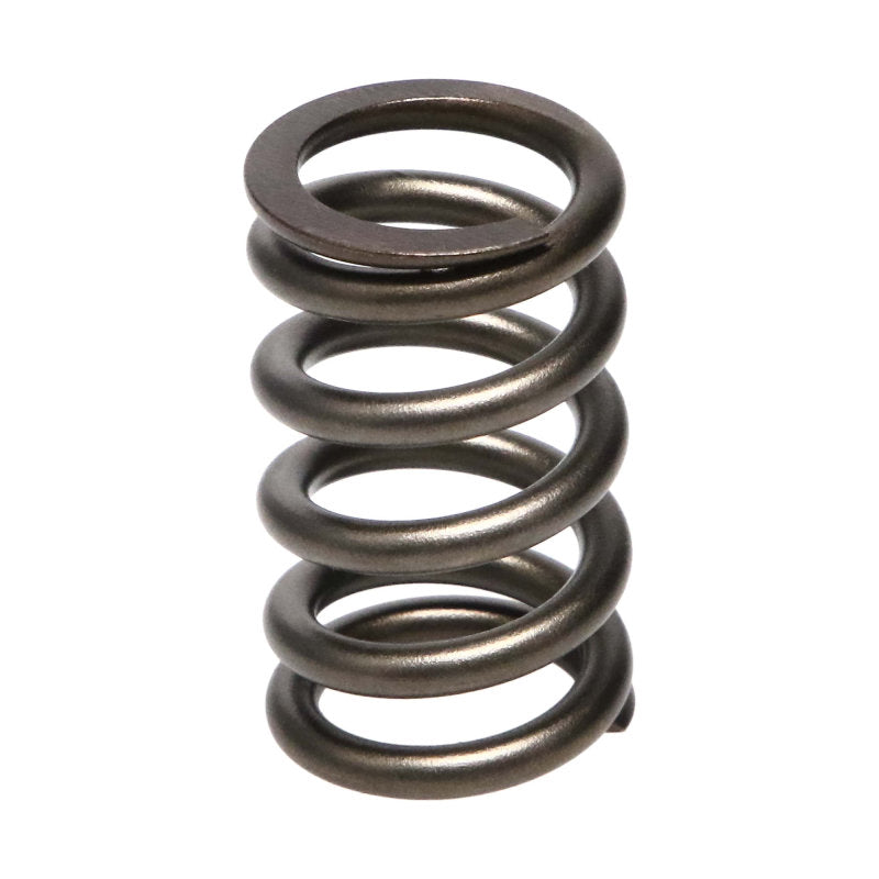 Manley Dodge SRT-4 16pc Valve Springs - GTR Auto