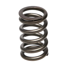Load image into Gallery viewer, Manley Dodge SRT-4 16pc Valve Springs - GTR Auto
