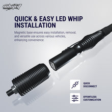 Load image into Gallery viewer, Whip It 5Ft Magnet Base w/ Spring Set