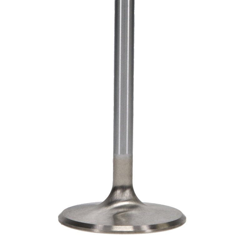 Manley 99-12 Ford V8 4.6L/281 5.4/330 45.5mm Race Series Stainless Steel Intake Valves (Set of 8) - GTR Auto
