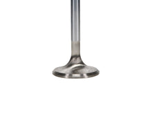 Load image into Gallery viewer, Manley Ford 289 Exhaust Valve Kit - 1.465in Head Dia. 5.080in O/A Length, 0.3415in Stem