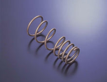 Load image into Gallery viewer, Tein 04+ TL / 03+ Accord V6 H. Tech Springs