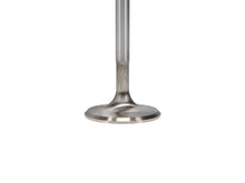 Load image into Gallery viewer, Manley Toyota Land Cruiser 4.5L (1FZ-FE) 38MM Race Flo Intake Valves - GTR Auto