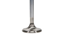 Load image into Gallery viewer, Manley Small Block Chevrolet 1.500 Budget Performance Exhaust Valves - GTR Auto