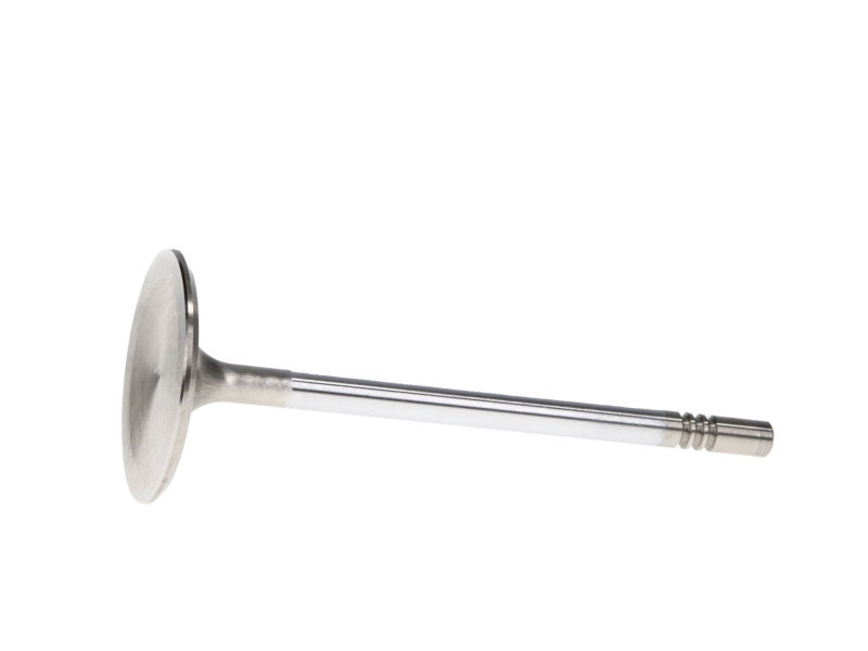Manley 99-12 Ford V8 4.6L/281 5.4/330 45.5mm Race Series Stainless Steel Intake Valves (Set of 8) - GTR Auto