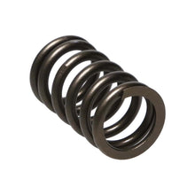 Load image into Gallery viewer, Manley Nissan (SR20DE SR20DET) 16pc Valve Springs - GTR Auto