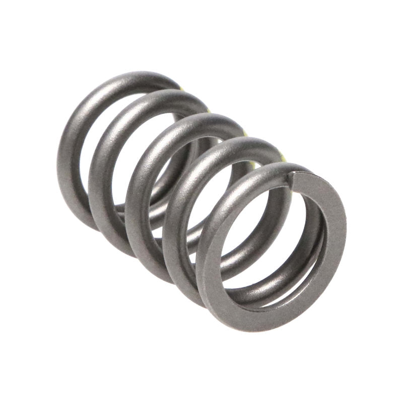 Manley Subaru WRX/STI 16pc Valve Springs  (1.050/.755)  (for use with 23180-16 Retainers) - GTR Auto