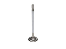 Load image into Gallery viewer, Manley Ford 4.6L DOHC (4 Valve) Triple Groove 30mm Race Master Exhaust Valves - GTR Auto