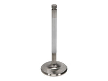 Load image into Gallery viewer, Manley Toyota Land Cruiser 4.5L (1FZ-FE) 38MM Race Flo Intake Valves - GTR Auto