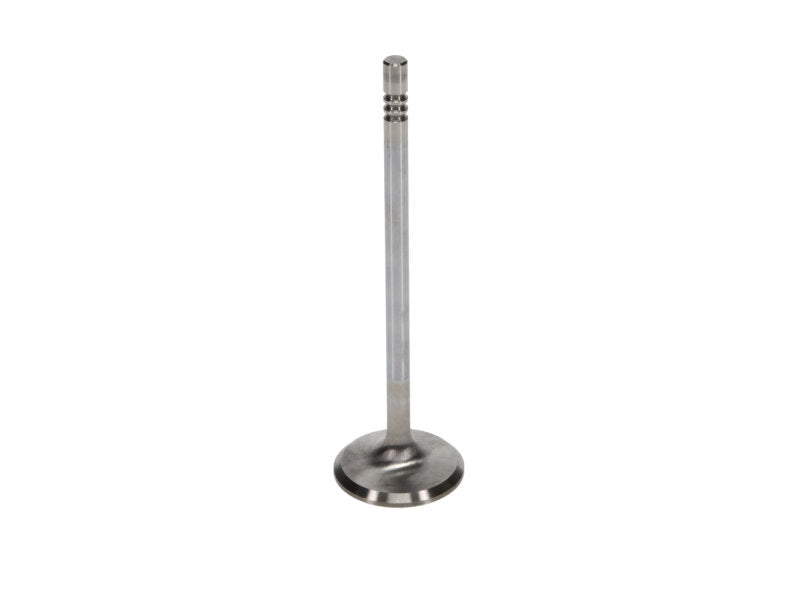 Manley Ford 4.6L 34mm Diameter 117.35mm Length Race Master Exhaust Valves (Set of 8) - GTR Auto