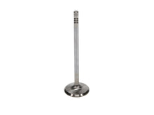 Load image into Gallery viewer, Manley Ford 4.6L 34mm Diameter 117.35mm Length Race Master Exhaust Valves (Set of 8) - GTR Auto