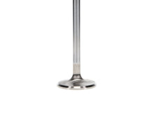 Load image into Gallery viewer, Manley Volkswagen 1.7L Type IV Exhaust Valve Kit - 36.00mm Head Dia. 4.606in O/A Length, 0.3130in
