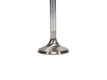 Load image into Gallery viewer, Manley Chrysler Hemi 6.1L w/ Triple Groove 1.595in Race Flo Exhaust Valves (Set of 8) - GTR Auto