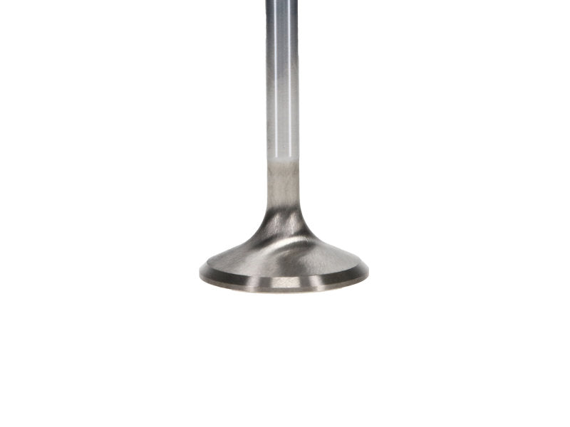Manley Chrysler Hemi 6.1L w/ Triple Groove 1.625in Race Master Exhaust Valves (Set of 8) - GTR Auto