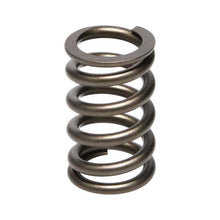 Load image into Gallery viewer, Manley Valve Spring, SPRING-NISSAN PATROL TB48