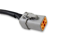 Load image into Gallery viewer, DV8 Offroad 40 AMP DTP 4-Pin Halo Light Harness