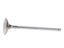 Load image into Gallery viewer, Manley Ford 2.3L EcoBoost Exhaust 30mm Stainless Extreme Duty Valves - GTR Auto