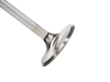 Load image into Gallery viewer, Manley Ford 4.6L DOHC (4 Valve) Triple Groove 37mm Race Master Intake Valves - GTR Auto