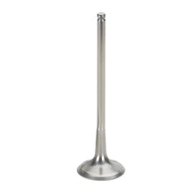 Load image into Gallery viewer, Supertech 04-06 Kawasaki KX250 25 x4.47x79.00mm Titanium Exhaust Valve - Single