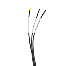 Load image into Gallery viewer, DS18 Plug and Play Harness For Harley-Davidson For DS18 Amp Connection w/ Factory Radio