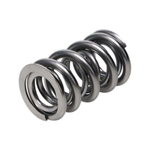 Load image into Gallery viewer, Manley Valve Spring, SPRING-1425 POLISHED