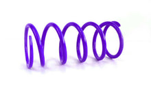 Load image into Gallery viewer, EPI 16+ Can-Am 800-1000 Maverick/Defender/Commander/ X3 Primary Spring Dark Purple